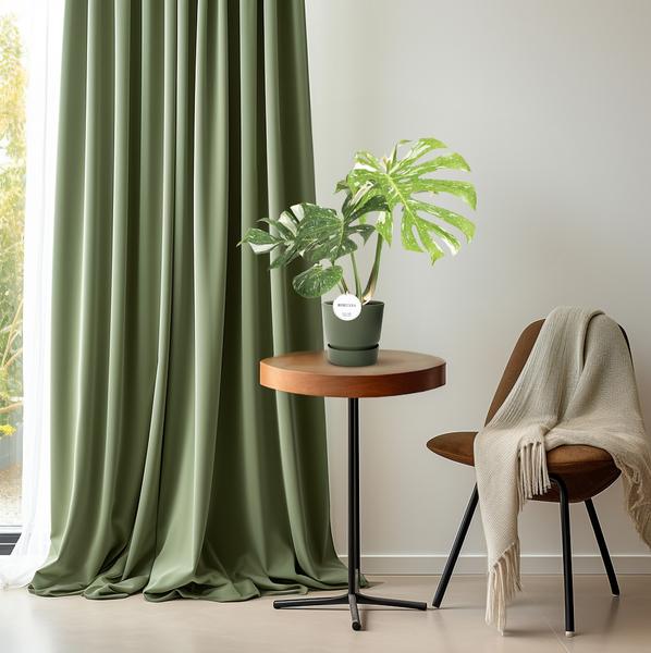 Monstera Thai Constellation | Fensterblatt | 40 cm